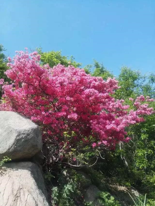 /upload/bbs/2018/05/31/0e331d56-5f37-4715-a5d6-d3ef518a5e14.jpg /upload/bbs/2018/05/31/0e331d56-5f37-4715-a5d6-d3ef518a5e14.jpg