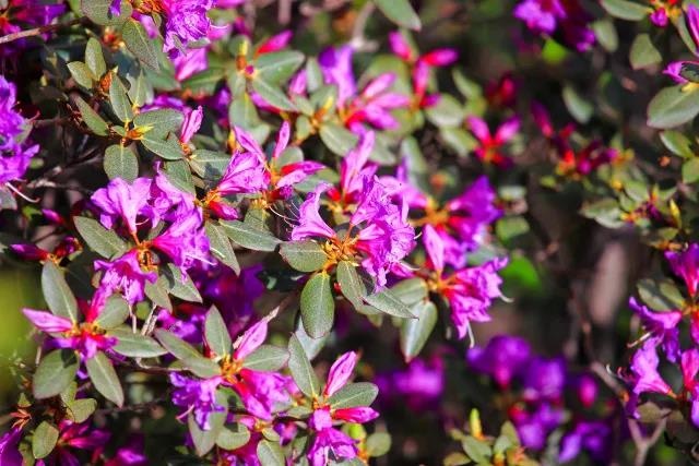 /upload/bbs/2018/05/31/41d184a1-3469-4ccc-9b02-f658d69d932d.jpg /upload/bbs/2018/05/31/41d184a1-3469-4ccc-9b02-f658d69d932d.jpg