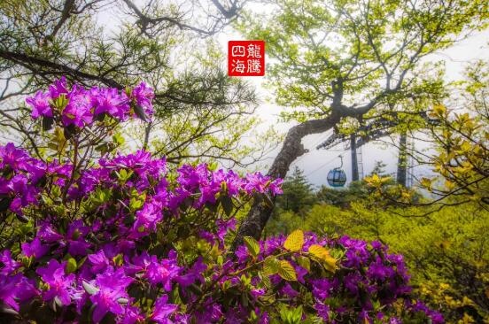 /upload/bbs/2018/05/31/7e1bbfae-6908-4b81-a017-6d169d90914c.jpg /upload/bbs/2018/05/31/7e1bbfae-6908-4b81-a017-6d169d90914c.jpg