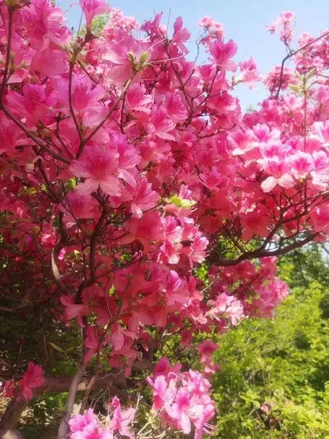 /upload/bbs/2018/05/31/863fadc1-7579-47a5-abde-8d6f2066fa7b.jpg /upload/bbs/2018/05/31/863fadc1-7579-47a5-abde-8d6f2066fa7b.jpg