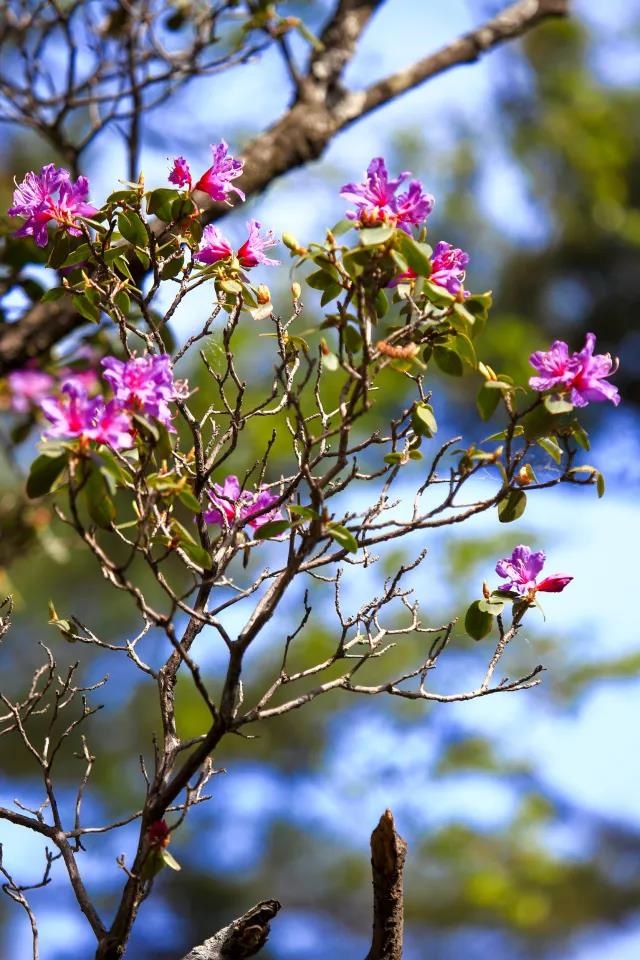 /upload/bbs/2018/05/31/8d8cbb92-3929-49be-a18c-e1ff86b49b34.jpg /upload/bbs/2018/05/31/8d8cbb92-3929-49be-a18c-e1ff86b49b34.jpg