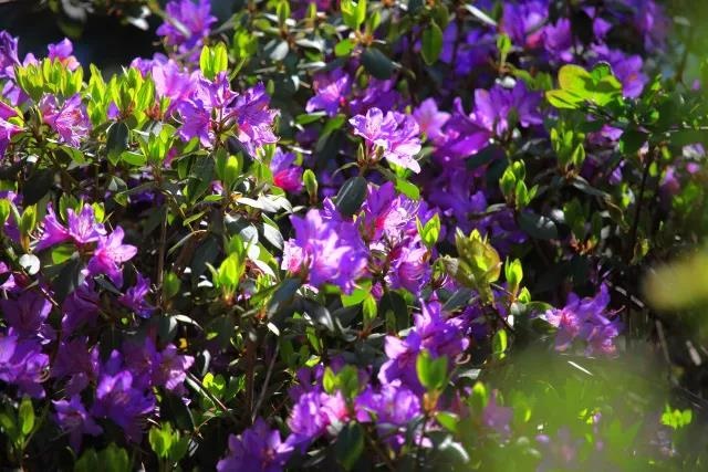 /upload/bbs/2018/05/31/a3942308-0f4f-4085-8fda-9b985a324fff.jpg /upload/bbs/2018/05/31/a3942308-0f4f-4085-8fda-9b985a324fff.jpg