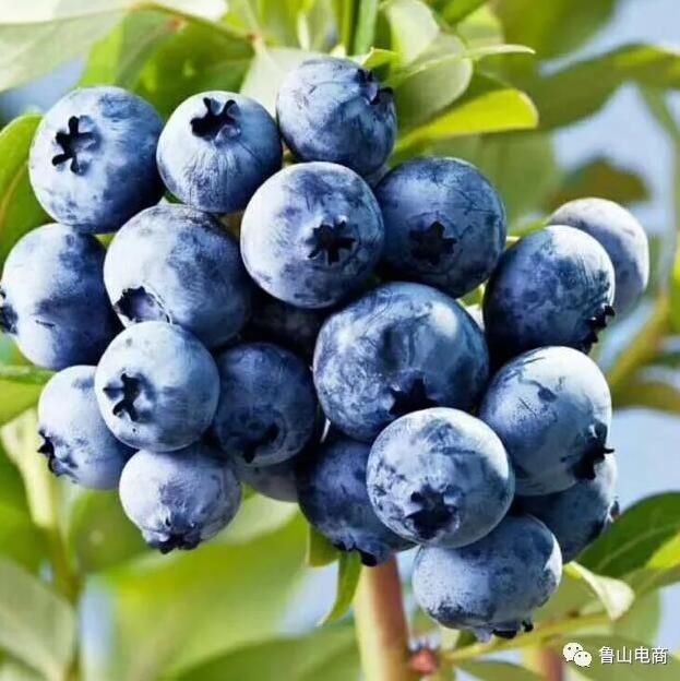 /upload/bbs/2018/05/31/f5fcde39-64d5-4ed7-a3f6-eb2ce1ef5d2c.jpg /upload/bbs/2018/05/31/f5fcde39-64d5-4ed7-a3f6-eb2ce1ef5d2c.jpg