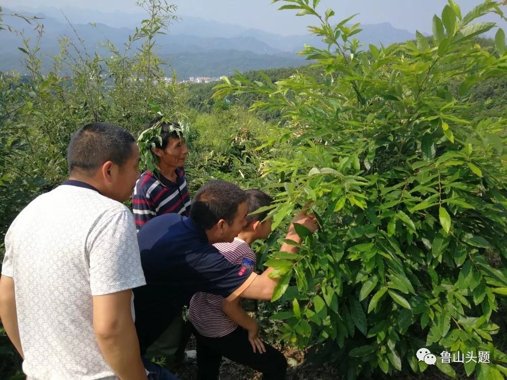 /upload/bbs/2018/06/04/0b7c4907-3350-49a4-bd8e-35ad50f80315.jpg /upload/bbs/2018/06/04/0b7c4907-3350-49a4-bd8e-35ad50f80315.jpg