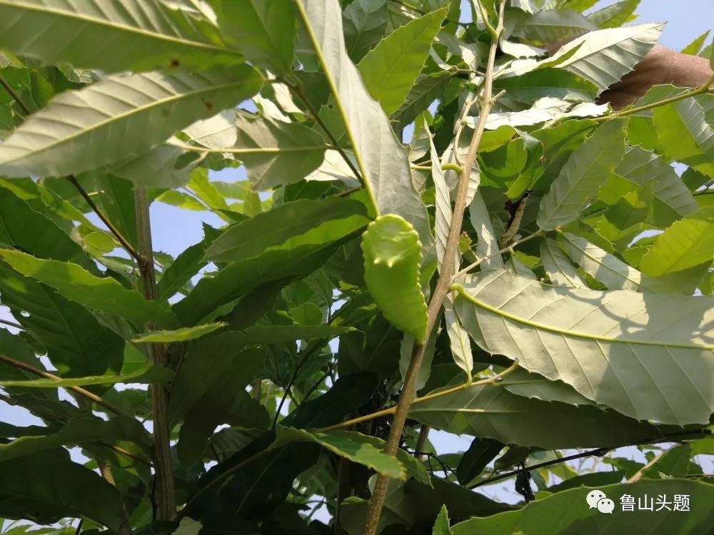 /upload/bbs/2018/06/04/291a74e9-e3c5-4edc-ae99-2e10b22a3e92.jpg /upload/bbs/2018/06/04/291a74e9-e3c5-4edc-ae99-2e10b22a3e92.jpg