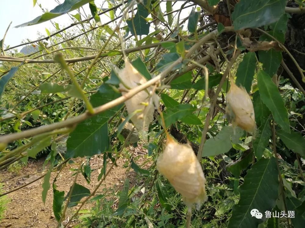 /upload/bbs/2018/06/04/553b0a9f-9512-4fd5-bbc1-6babb703160d.jpg /upload/bbs/2018/06/04/553b0a9f-9512-4fd5-bbc1-6babb703160d.jpg