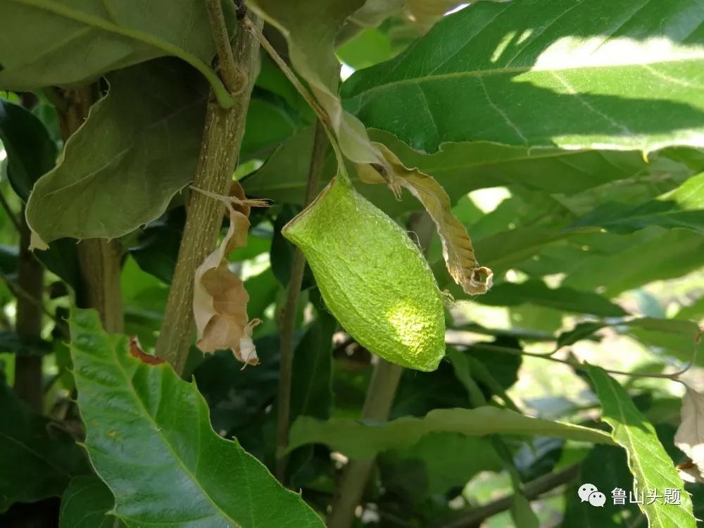 /upload/bbs/2018/06/04/b2621710-245f-4268-ac07-39b6a6038f01.jpg /upload/bbs/2018/06/04/b2621710-245f-4268-ac07-39b6a6038f01.jpg