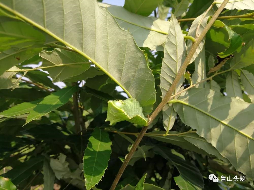 /upload/bbs/2018/06/04/ec5e4af7-23b4-4fbc-b0f3-662e0945443b.jpg /upload/bbs/2018/06/04/ec5e4af7-23b4-4fbc-b0f3-662e0945443b.jpg