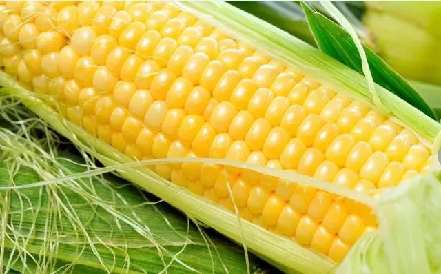 /upload/bbs/2018/06/07/986ce810-3112-4f14-80a1-20224fda198f.jpg /upload/bbs/2018/06/07/986ce810-3112-4f14-80a1-20224fda198f.jpg