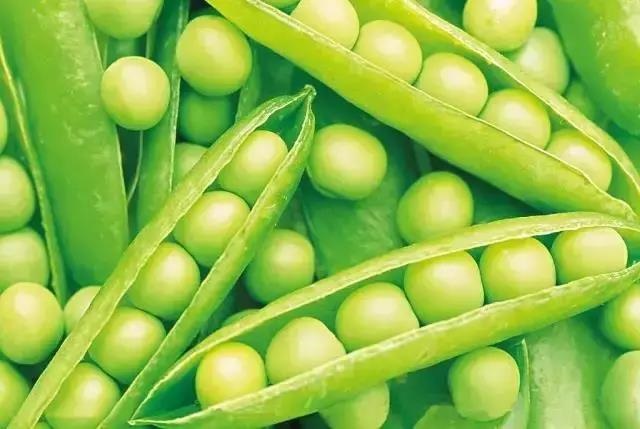 /upload/bbs/2018/06/07/a8977723-c643-46c1-81f6-22ae72c7e452.jpg /upload/bbs/2018/06/07/a8977723-c643-46c1-81f6-22ae72c7e452.jpg