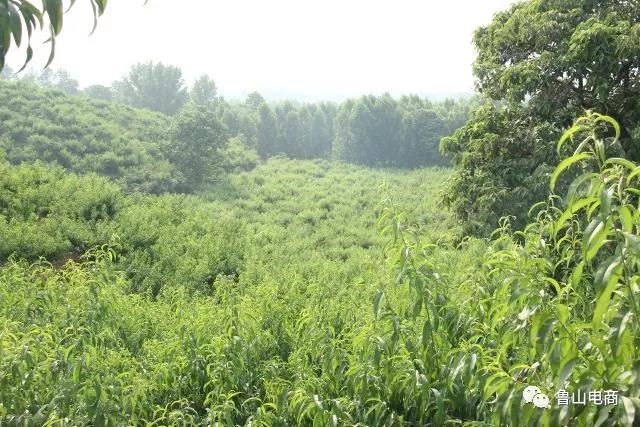 /upload/bbs/2018/06/25/1ed9b549-a719-4c23-888c-c564dc45c207.jpg /upload/bbs/2018/06/25/1ed9b549-a719-4c23-888c-c564dc45c207.jpg