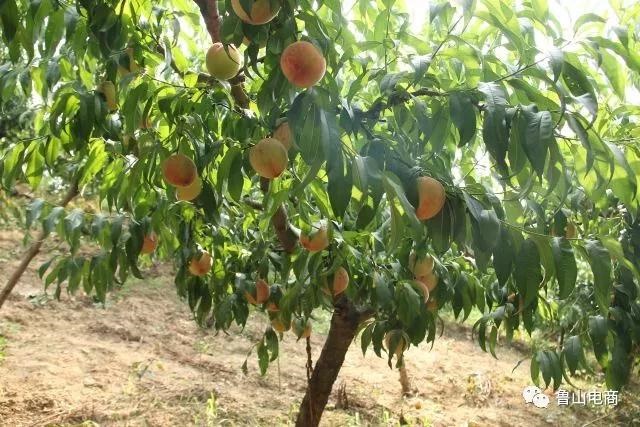 /upload/bbs/2018/06/25/89207e14-5869-4e06-a866-2f1173197414.jpg /upload/bbs/2018/06/25/89207e14-5869-4e06-a866-2f1173197414.jpg