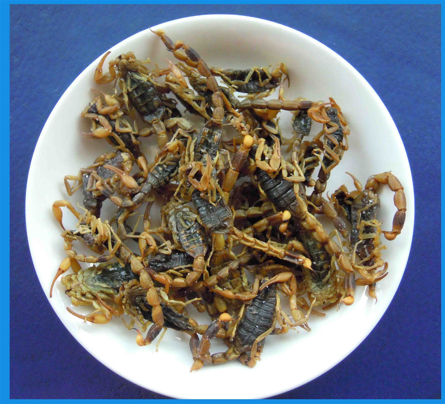 /upload/bbs/2018/07/17/481e397b-c6cd-4933-8e18-58c7080c16ce.jpg /upload/bbs/2018/07/17/481e397b-c6cd-4933-8e18-58c7080c16ce.jpg