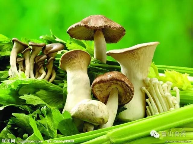 /upload/bbs/2018/07/20/94c19a75-d6dd-4dfe-9b38-0b5c0fec1070.jpg /upload/bbs/2018/07/20/94c19a75-d6dd-4dfe-9b38-0b5c0fec1070.jpg