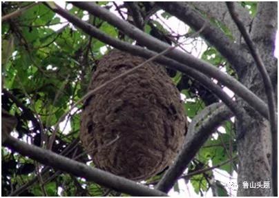 /upload/bbs/2018/07/20/ec3ed422-b0b9-45a2-a317-e38d81950cc4.jpg /upload/bbs/2018/07/20/ec3ed422-b0b9-45a2-a317-e38d81950cc4.jpg