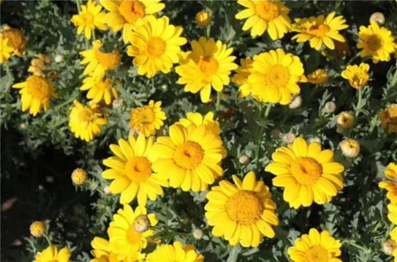 /upload/bbs/2018/07/21/32f13375-ffef-4eda-bcb3-eecc66c9dedc.jpg /upload/bbs/2018/07/21/32f13375-ffef-4eda-bcb3-eecc66c9dedc.jpg