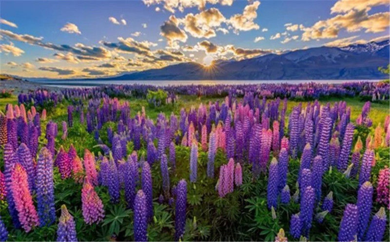 /upload/bbs/2018/07/21/b5fa274f-4adc-4509-85f1-4d425aa2a537.jpg /upload/bbs/2018/07/21/b5fa274f-4adc-4509-85f1-4d425aa2a537.jpg