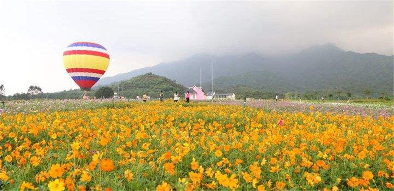 /upload/bbs/2018/07/21/cb2761a1-308b-486e-9f53-513c13ee4ee2.jpg /upload/bbs/2018/07/21/cb2761a1-308b-486e-9f53-513c13ee4ee2.jpg