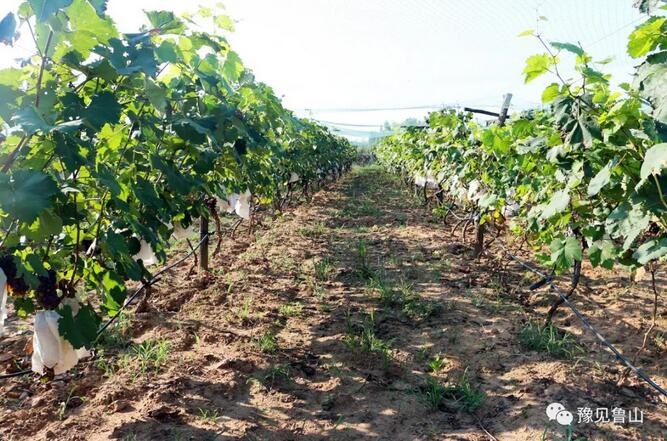 /upload/bbs/2018/07/22/a3da1438-d8a0-47a1-9a40-0c0a9a7fadbb.jpg /upload/bbs/2018/07/22/a3da1438-d8a0-47a1-9a40-0c0a9a7fadbb.jpg