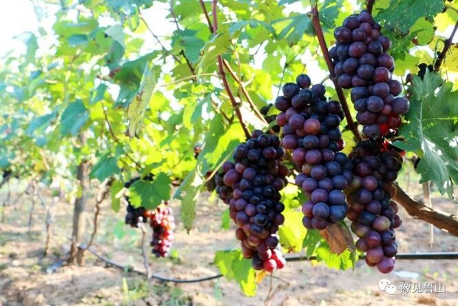 /upload/bbs/2018/07/22/d55dcf51-fa7a-4f36-92ae-a105a89b5858.jpg /upload/bbs/2018/07/22/d55dcf51-fa7a-4f36-92ae-a105a89b5858.jpg