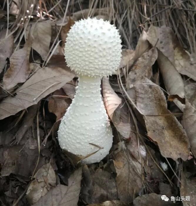 /upload/bbs/2018/07/22/d89a8b2a-1148-43b5-ba43-f46b31a5ff7d.jpg /upload/bbs/2018/07/22/d89a8b2a-1148-43b5-ba43-f46b31a5ff7d.jpg