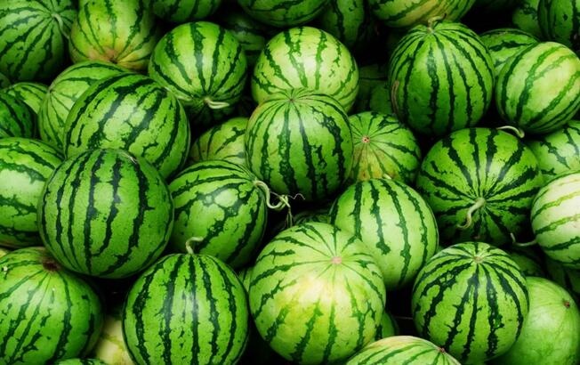 /upload/bbs/2018/07/23/f90b85f8-f5da-4ed3-9428-64a8ecdc65a4.jpg /upload/bbs/2018/07/23/f90b85f8-f5da-4ed3-9428-64a8ecdc65a4.jpg