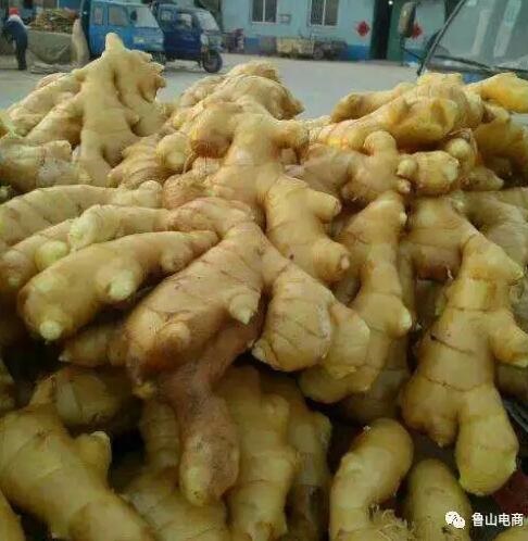 /upload/bbs/2018/08/21/30212e69-d726-4e06-8f67-6c6134c31ec4.jpg /upload/bbs/2018/08/21/30212e69-d726-4e06-8f67-6c6134c31ec4.jpg