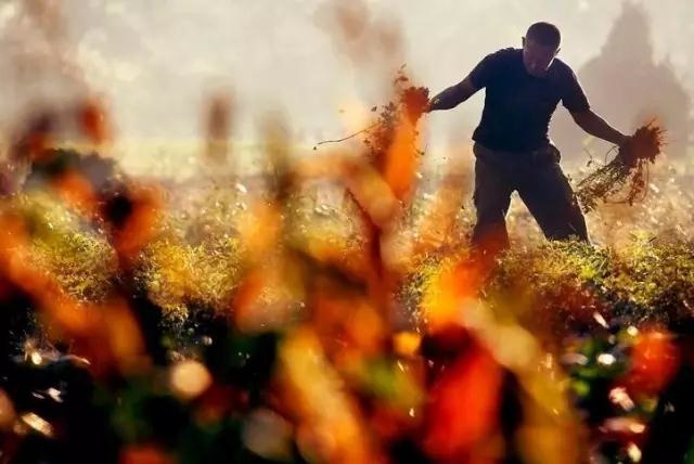 /upload/bbs/2018/10/06/272d1c1f-c37f-4dd3-a5d1-9d2805f5c486.jpg /upload/bbs/2018/10/06/272d1c1f-c37f-4dd3-a5d1-9d2805f5c486.jpg