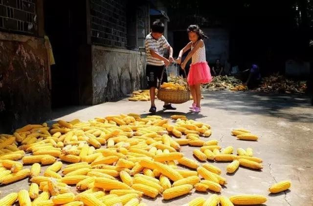 /upload/bbs/2018/10/06/64c80f7c-ca4c-4f6b-b3f3-5a3036f6eac0.jpg /upload/bbs/2018/10/06/64c80f7c-ca4c-4f6b-b3f3-5a3036f6eac0.jpg