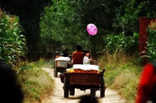 /upload/bbs/2018/10/06/913c3650-140f-4d0c-a3a6-3240d531ad2d.jpg /upload/bbs/2018/10/06/913c3650-140f-4d0c-a3a6-3240d531ad2d.jpg