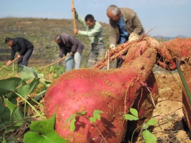 /upload/bbs/2018/10/06/9a1ea82e-6437-4173-b95f-91fb2763bcb2.jpg /upload/bbs/2018/10/06/9a1ea82e-6437-4173-b95f-91fb2763bcb2.jpg