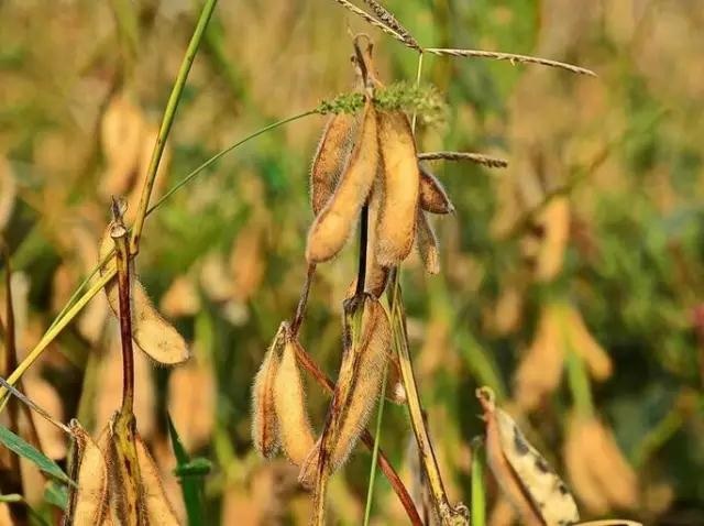 /upload/bbs/2018/10/06/dc1aba96-a6ed-4f3b-ad55-e3c0881357a2.jpg /upload/bbs/2018/10/06/dc1aba96-a6ed-4f3b-ad55-e3c0881357a2.jpg