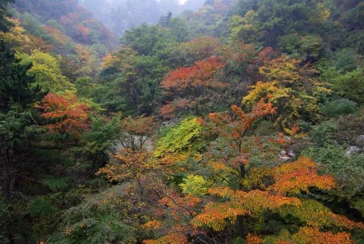 /upload/bbs/2018/10/29/4f9593ac-57f2-44c7-b8e0-fd472bde29e5.jpg /upload/bbs/2018/10/29/4f9593ac-57f2-44c7-b8e0-fd472bde29e5.jpg