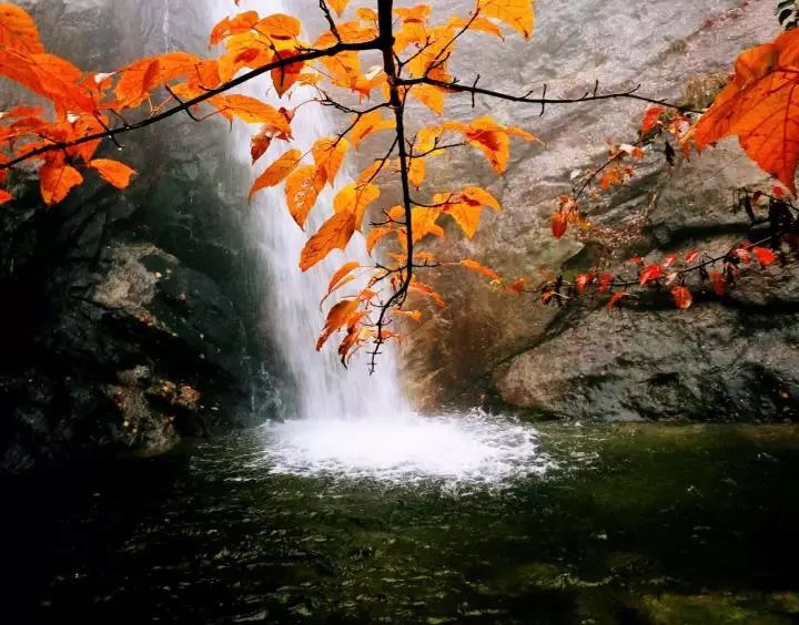 /upload/bbs/2018/10/29/80bba65f-9c2d-4cc8-9407-7fdb7406c831.jpg /upload/bbs/2018/10/29/80bba65f-9c2d-4cc8-9407-7fdb7406c831.jpg