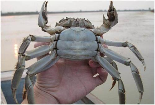 /upload/bbs/2018/10/29/9d70415d-88ea-4f19-866d-8f88572c7ee2.jpg /upload/bbs/2018/10/29/9d70415d-88ea-4f19-866d-8f88572c7ee2.jpg