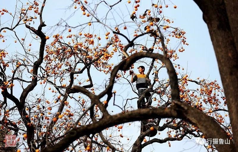 /upload/bbs/2018/11/08/735ed22f-8ca9-4630-9aeb-d23f20c07f9e.jpg /upload/bbs/2018/11/08/735ed22f-8ca9-4630-9aeb-d23f20c07f9e.jpg