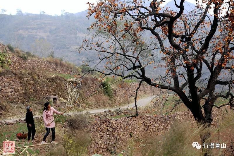 /upload/bbs/2018/11/08/e287fb9b-9b4b-40c8-83d2-7eee7e6fb2ea.jpg /upload/bbs/2018/11/08/e287fb9b-9b4b-40c8-83d2-7eee7e6fb2ea.jpg