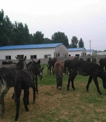 /upload/bbs/2018/11/08/e3dfb9dc-2af2-459d-8db5-3c9291fbb84a.jpg /upload/bbs/2018/11/08/e3dfb9dc-2af2-459d-8db5-3c9291fbb84a.jpg