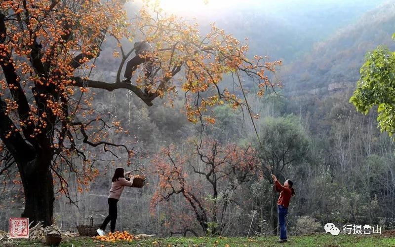 /upload/bbs/2018/11/08/e9a3f57d-f41d-4120-b335-18264a9397cf.jpg /upload/bbs/2018/11/08/e9a3f57d-f41d-4120-b335-18264a9397cf.jpg