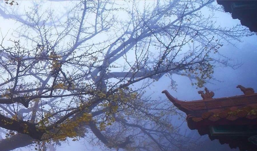 /upload/bbs/2018/11/13/32bc8065-b4ba-44e5-9dbc-67305f1ecea8.jpg /upload/bbs/2018/11/13/32bc8065-b4ba-44e5-9dbc-67305f1ecea8.jpg