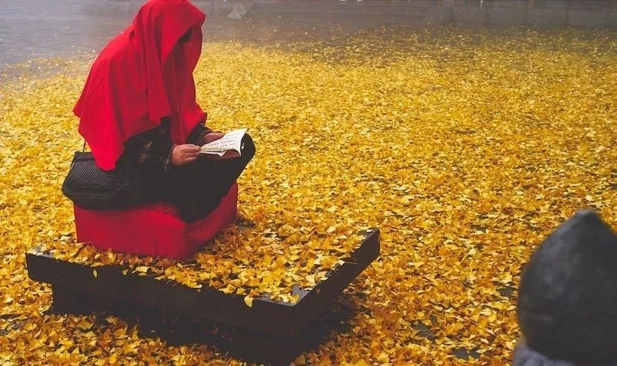 /upload/bbs/2018/11/13/374eac47-4a3c-4f2b-b70d-b9ae5f5f2716.jpg /upload/bbs/2018/11/13/374eac47-4a3c-4f2b-b70d-b9ae5f5f2716.jpg