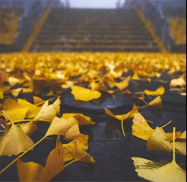 /upload/bbs/2018/11/13/d1eb0f08-da65-4380-893d-24cdf17beed2.jpg /upload/bbs/2018/11/13/d1eb0f08-da65-4380-893d-24cdf17beed2.jpg