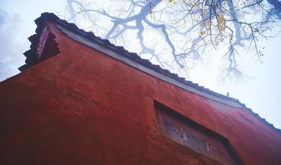 /upload/bbs/2018/11/13/fc097fe1-c6e5-4b6a-8884-e57c266ef7db.jpg /upload/bbs/2018/11/13/fc097fe1-c6e5-4b6a-8884-e57c266ef7db.jpg