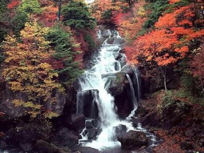 /upload/bbs/2018/11/15/0c9308c0-fb92-4458-b65b-f365748633ef.jpg /upload/bbs/2018/11/15/0c9308c0-fb92-4458-b65b-f365748633ef.jpg