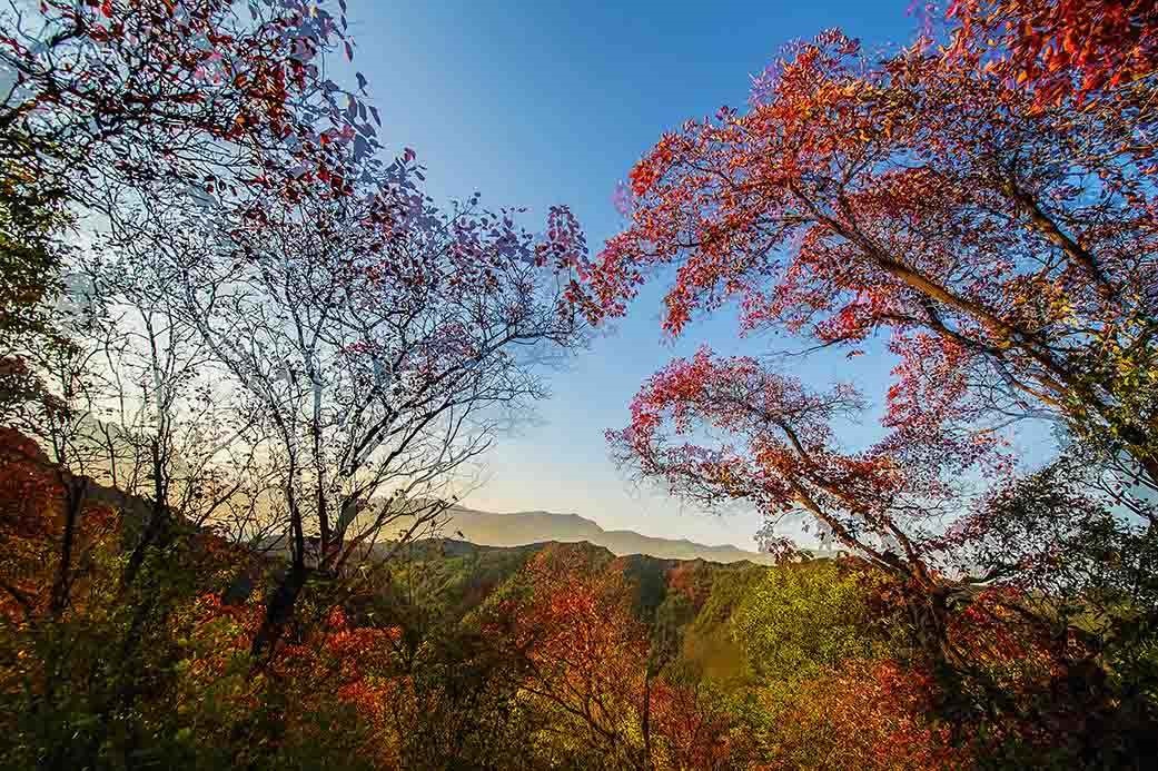 /upload/bbs/2018/11/15/2e527aef-793e-4e10-b6e8-b0df33eb826b.jpg /upload/bbs/2018/11/15/2e527aef-793e-4e10-b6e8-b0df33eb826b.jpg