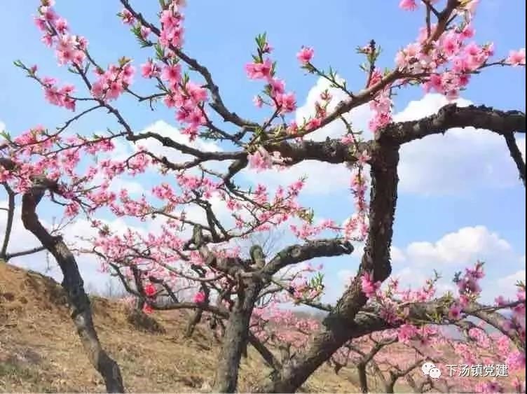 /upload/bbs/2019/03/27/0b27f6b0-6717-4b3f-9599-6f10b2e60439.jpg /upload/bbs/2019/03/27/0b27f6b0-6717-4b3f-9599-6f10b2e60439.jpg