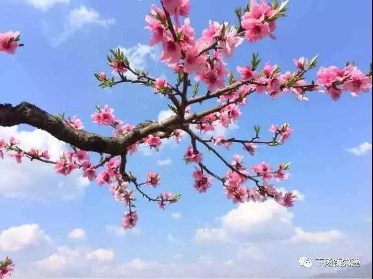 /upload/bbs/2019/03/27/0fb02a05-587b-4beb-b9bb-2aa879972d6c.jpg /upload/bbs/2019/03/27/0fb02a05-587b-4beb-b9bb-2aa879972d6c.jpg