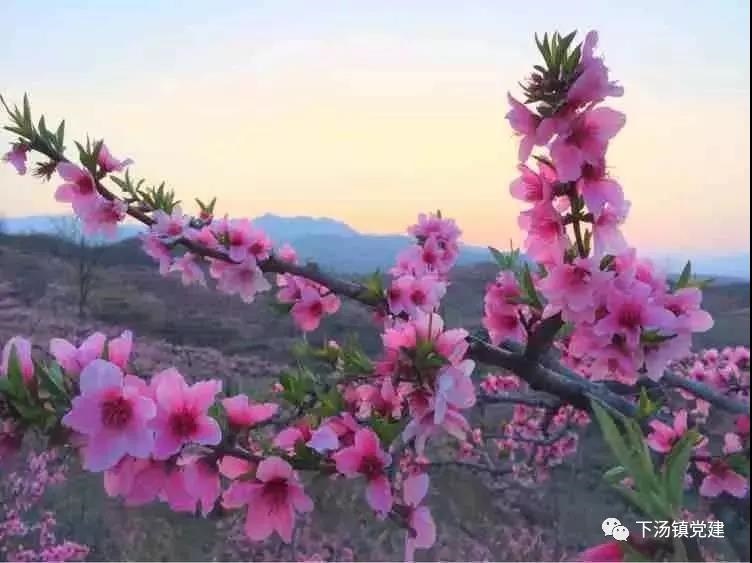 /upload/bbs/2019/03/27/133aadbd-9c26-4b0d-8711-c5469a59c9a2.jpg /upload/bbs/2019/03/27/133aadbd-9c26-4b0d-8711-c5469a59c9a2.jpg