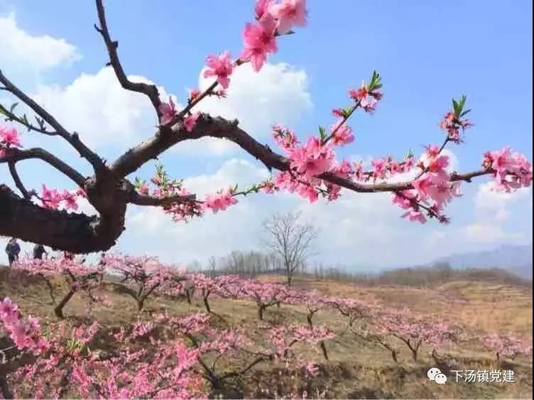 /upload/bbs/2019/03/27/6659928b-81fb-4cdf-8d84-610a8da8617b.jpg /upload/bbs/2019/03/27/6659928b-81fb-4cdf-8d84-610a8da8617b.jpg