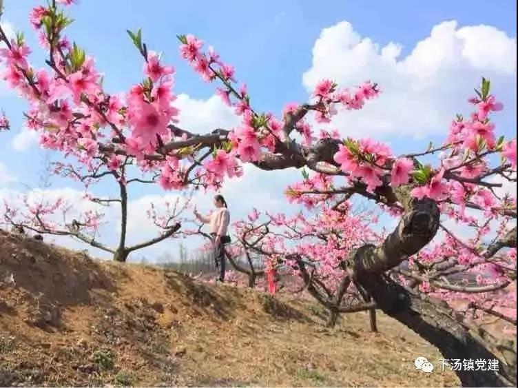 /upload/bbs/2019/03/27/99c07ec1-c547-40f3-bd5d-59356d9518a1.jpg /upload/bbs/2019/03/27/99c07ec1-c547-40f3-bd5d-59356d9518a1.jpg